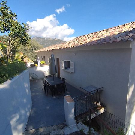 Olmeto 3 Pieces Apartment Exterior photo